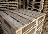 Nguyên nhân khiến Pallet gỗ hay bị mối mọt tấn công và cách khắc phục