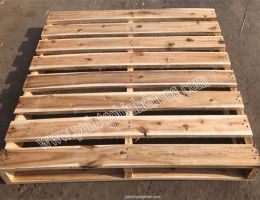 Cách xử lý gỗ chống mối mọt hiệu quả nhất