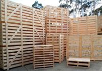 Kinh nghiệm lựa chọn pallet gỗ chất lượng cao