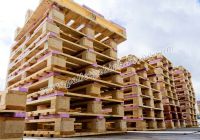 Nội thất bằng pallet gỗ có tốt không?