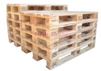 Pallet gỗ hay nhựa: Đâu mới là lựa chọn hoàn hảo cho doanh nghiệp của bạn?