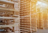 3 nguy cơ có thể tiềm ẩn từ gỗ pallet tái chế và vài lưu ý giúp bạn chọn được pallet an toàn