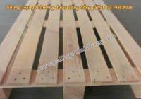 Những loại gỗ thường được dùng đóng pallet tại Việt Nam