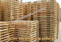 Tại sao nên khử trùng pallet gỗ