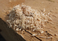 Cách Xử Lý Gỗ Chống Mối Mọt Hiệu Quả Nhất