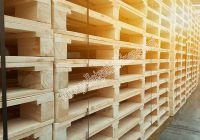 Một vài lưu ý về kích thước khi mua pallet gỗ