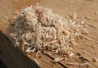 Những Vấn Đề Thường Gặp Trong Sử Dụng Pallet Gỗ Và Cách Xử Lý