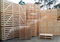 Pallet gỗ nên dùng loại gỗ gì?