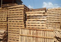 Những Loại Gỗ Thường Được Dùng Làm Pallet Tại Việt Nam