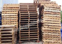 Pallet gỗ và Pallet nhựa: Đâu mới thật sự là lựa chọn hoàn hảo?