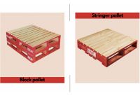 Phân loại pallet theo kiểu dáng, thiết kế và vật liệu