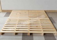 Tại sao pallet gỗ hay bị mối mọt tấn công và cách khắc phục nào hiệu quả nhất.