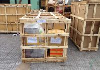 Pallet gỗ hay nhựa: Đâu mới là lựa chọn hoàn hảo?