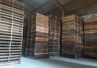 Mua Pallet Gỗ Cũ – Có Đồng Nghĩa Với Việc Mua Rủi Ro?