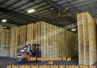 Vai trò của pallet là gì và có bao nhiêu loại pallet trên thị trường hiện nay