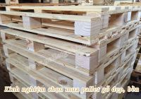 Kinh nghiệm chọn mua pallet gỗ đẹp, bền
