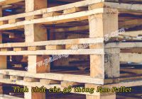 Tính chất của gỗ thông làm Pallet