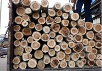 Nguyên liệu sản xuất pallet gỗ