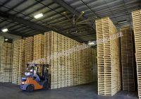 Ứng dụng của pallet gỗ trong các ngành nghề
