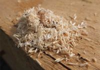 Những vấn đề thường gặp khi sử dụng pallet gỗ