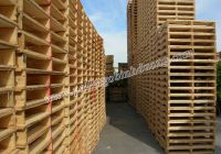 Một vài trường hợp thường gặp khi sử dụng pallet gỗ