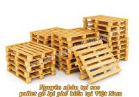 Nguyên nhân tại sao pallet gỗ lại phổ biến tại Việt Nam