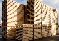3 Cách Chọn Lựa Size Pallet Gỗ Phù Hợp Với Diện Tích Bề Mặt Hàng Hóa
