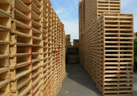 Có nên sử dụng pallet gỗ trong kho lạnh ?