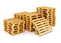 Một số biện pháp phòng chống nấm mốc trên pallet gỗ