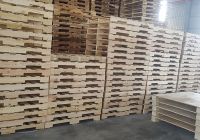 Pallet giá rẻ gây tổn thất thế nào cho doanh nghiệp của bạn?