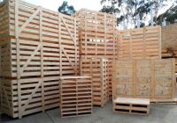 Tóm tắt những ưu và nhược điểm của Pallet gỗ